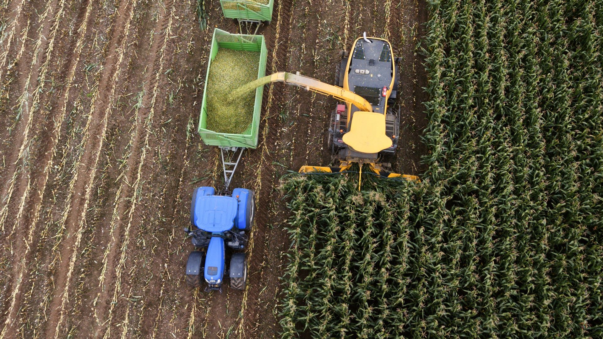 weegsysteem-voor-getrokken-landbouwvoertuigen-golstein